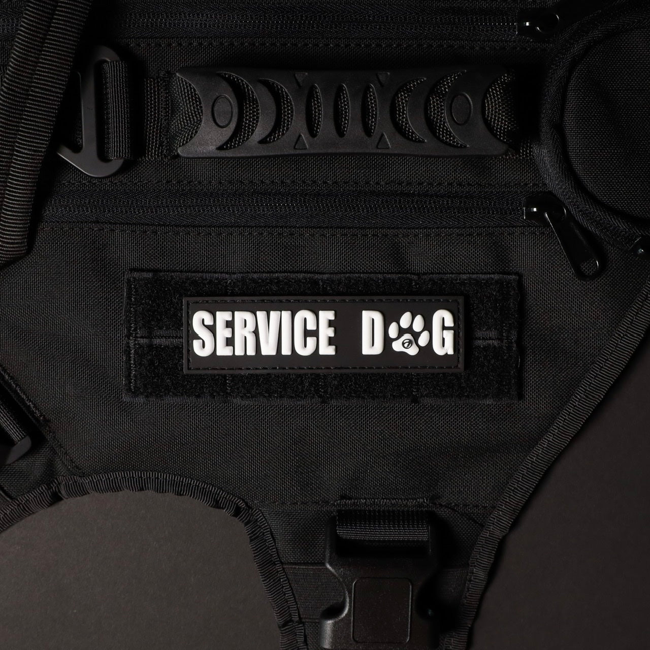 Service Dog White Paw